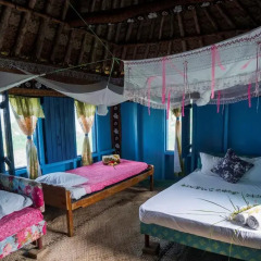 Отель Yasawa Homestays комната для гостей фото 5