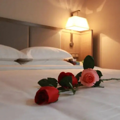 Guangzhou BoYi Hotel 3* Номер Бизнес с различными типами кроватей фото 4