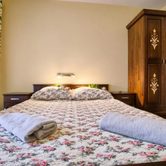 Отель Apartamenty i Pokoje w Willi na Ubocy Номер Делюкс фото 7