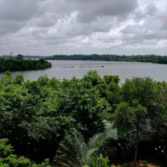 Отель Lotus Paradise Health Resort Шри-Ланка, Ахунгалла - отзывы, цены и фото номеров - забронировать отель Lotus Paradise Health Resort онлайн приотельная территория