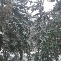 Гостиница Lenina 3kA в Железноводске отзывы, цены и фото номеров - забронировать гостиницу Lenina 3kA онлайн Железноводск приотельная территория