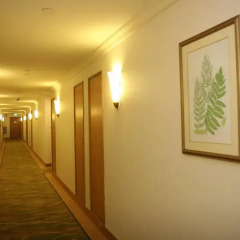 Апартаменты Shangri-La Apartments интерьер отеля