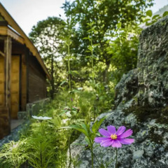 Ayder Selale Dag Evi Коттедж с различными типами кроватей фото 16