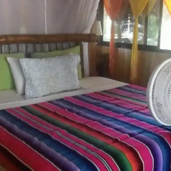 Отель Bungalows Tree Tops 5* Вилла с различными типами кроватей фото 24