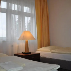 Hotel Svornost 3* Люкс с различными типами кроватей фото 20