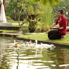 Nusa Dua Beach Hotel & Spa 4* Номер Премьер с двуспальной кроватью фото 3