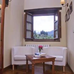 Hotel Rural Posada San Pelayo 3* Стандартный номер с различными типами кроватей фото 4