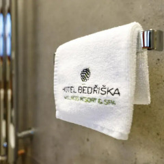 Hotel Bedriška Wellness Resort & Spa 4* Стандартный номер с различными типами кроватей фото 15