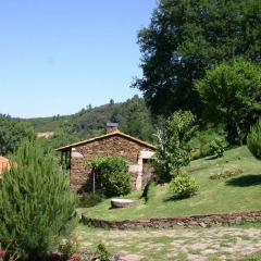 Отель Quinta Da Rabaçosa - Turismo Rural Кастро-Дайре фото 7