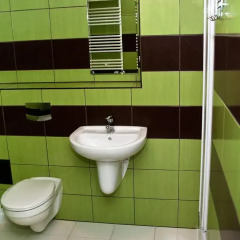 Frolic Goats Hostel Стандартный номер с различными типами кроватей фото 3