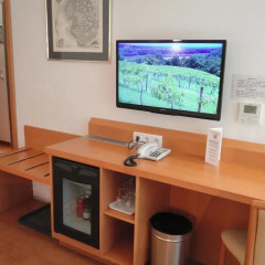 City Hotel Albrecht 3* Стандартный номер фото 17