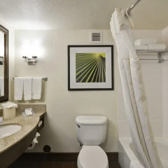 Отель Hilton Garden Inn Sarasota - Bradenton Airport 3* Стандартный номер с различными типами кроватей