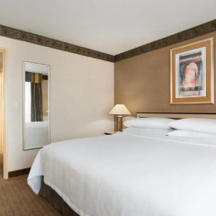 Отель Embassy Suites by Hilton Convention Center Las Vegas 3* Люкс с различными типами кроватей