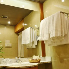 Hotel Diplomatic 4* Стандартный номер с различными типами кроватей фото 6