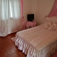 Отель Quinta De Sao Martinho Стандартный номер с двуспальной кроватью