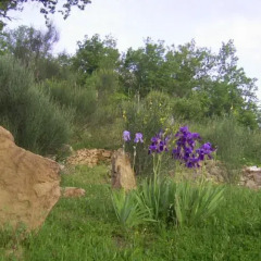 Отель Montepolino Трайа