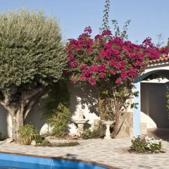 Отель Casa Hermosa Ориуэла бассейн фото 3