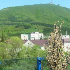 Гостиница Golden фото 3