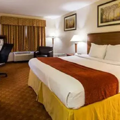 Отель Best Western Lakewood Inn 2* Стандартный номер с различными типами кроватей фото 6