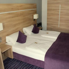 Hotel Wallis 3* Номер Делюкс с двуспальной кроватью