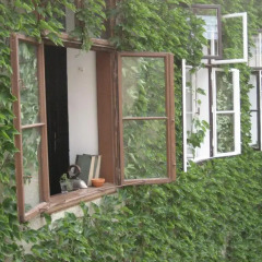 Апартаменты Vienna Feeling Apartments фитнесс-зал