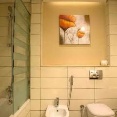 Rayan Hotel Sharjah 4* Стандартный номер с различными типами кроватей фото 5