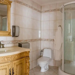 Отель Zamek Dubiecko 4* Студия с различными типами кроватей фото 4