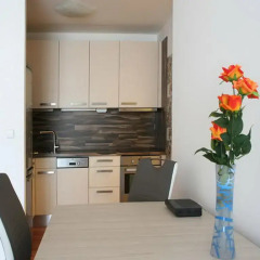 Отель Spacious Prague Flat в номере