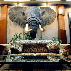 Hotel Sercotel Suite Palacio del Mar развлечения