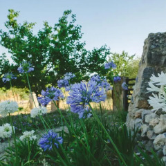 Отель Son Hortola пляж фото 2