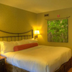 Отель Banff Caribou Lodge and Spa комната для гостей фото 5
