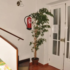 Отель Residencial D. João III Португалия, Понта-Делгада - отзывы, цены и фото номеров - забронировать отель Residencial D. João III онлайн интерьер отеля фото 2