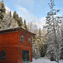 Гостиница Brusnika Village Стандартный номер с разными типами кроватей фото 10
