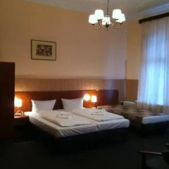 Hotel Pension Rheingold 2* Стандартный номер с различными типами кроватей фото 7