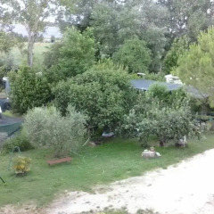 Отель B&B Le Rondinelle Сполето фото 6