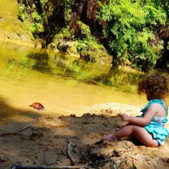 Отель de Selva El Puente Фиджи, Остров Тавеуни - отзывы, цены и фото номеров - забронировать отель de Selva El Puente онлайн приотельная территория