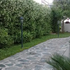 Отель Da Zio Gino Поджардо фото 3