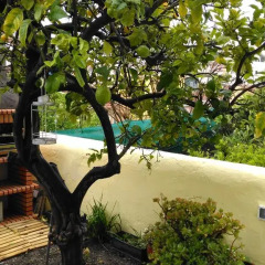Отель Lemon House with Private Garden детские мероприятия