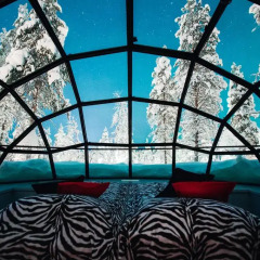 Отель Kakslauttanen Arctic Resort - Igloos and Chalets 4* Стандартный номер с различными типами кроватей фото 2