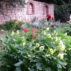 Отель Villa Nasco фото 16