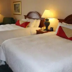 Отель Hilton Garden Inn Columbus Airport 3* Стандартный номер с различными типами кроватей фото 5