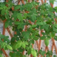 Отель Casetta in Riva al Mare Фонтане-Бьянке