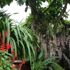 Отель Ta Phin Stone Garden Ecological Шапа фото 3