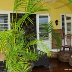 Отель Golden Cove Resort интерьер отеля