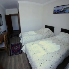 Selena Hotel 2* Номер категории Эконом фото 9