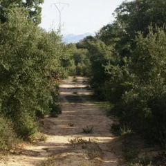 Отель Casa Rural Elanio Azul фото 2