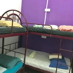 Отель Awys Backpackers Кровать в женском общем номере с двухъярусной кроватью