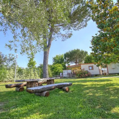 Отель Flaminio Village Bungalow Park Италия, Рим - 3 отзыва об отеле, цены и фото номеров - забронировать отель Flaminio Village Bungalow Park онлайн фото 7