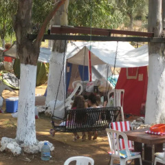 Azmakbasi Camping Турция, Атакой - отзывы, цены и фото номеров - забронировать отель Azmakbasi Camping онлайн фото 5