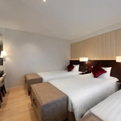 Solaria Nishitetsu Hotel Seoul Myeongdong 3* Стандартный номер с различными типами кроватей фото 6